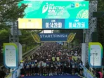 pln run